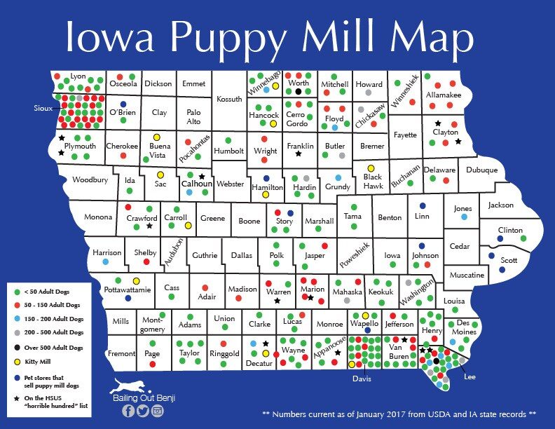 Iowa puppy mills