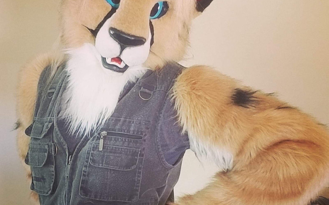 The many sides of furries