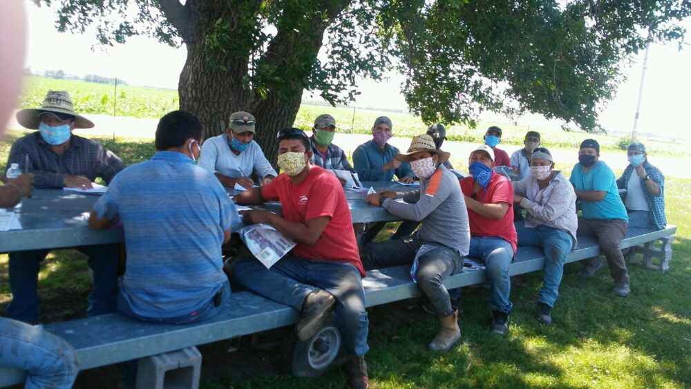 Proteus provides face masks, COVID-19 support to farmworkers in three states