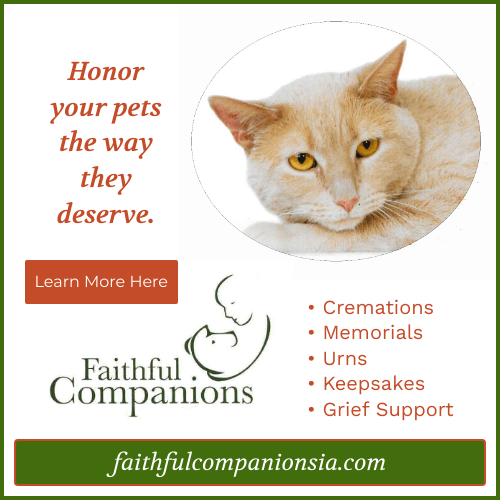 faithful companions 2