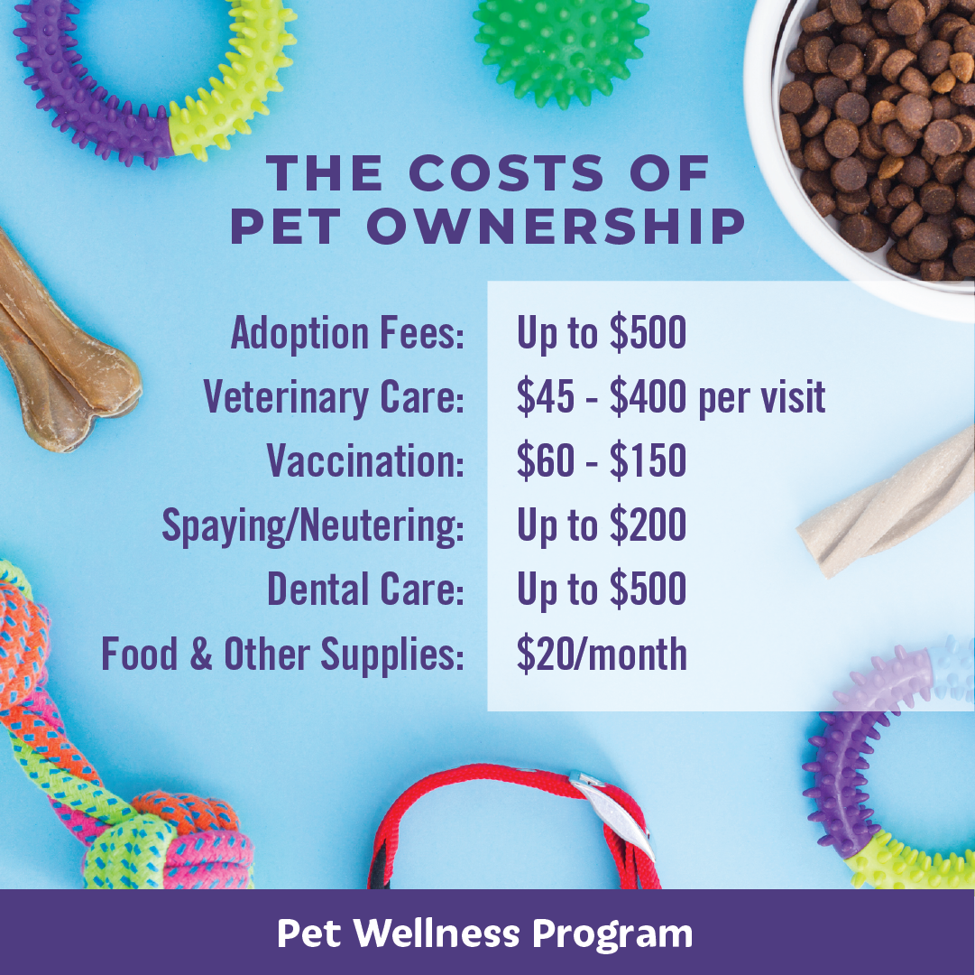 pet ownership costs