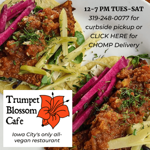 Trumpet Blossom 3