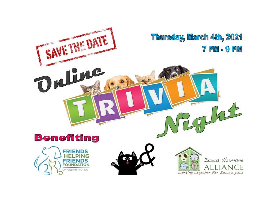 ONLINE TRIVIA NIGHT: IT'S RAINING CATS AND KITTENS Online 140813219 1125144254594111 4177588735000292026 o
