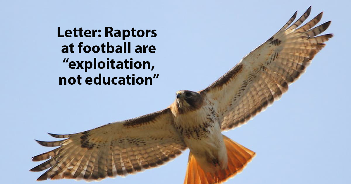U of I football shows are raptor exploitation, not education (Letter to the Editor)