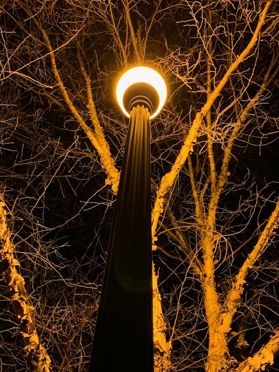 Lamp post in darkness by Nikki Lunden Trotter 1