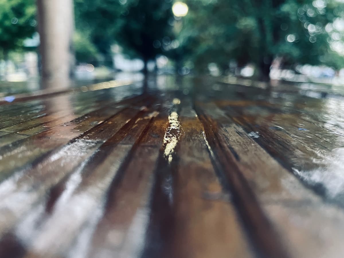 Rain on the Deck by Nikki Lunden Trotter 1