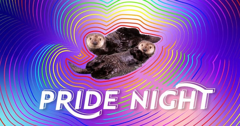 Pride Night at Shedd Aquarium with otters